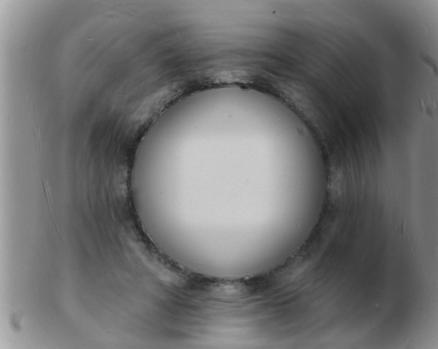 X0000103300402200809122034