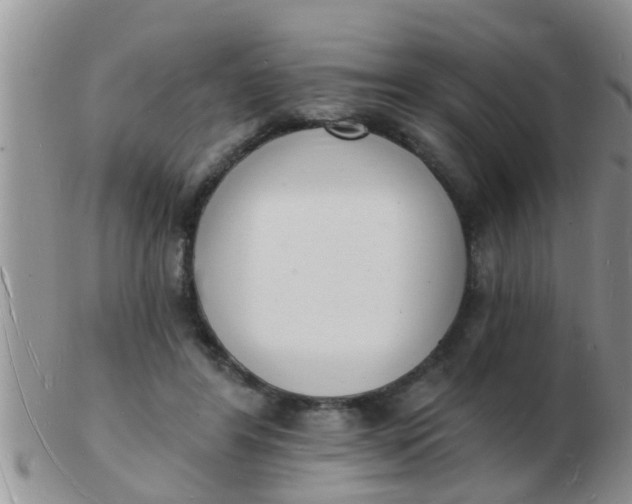 X0000103300404200809122034