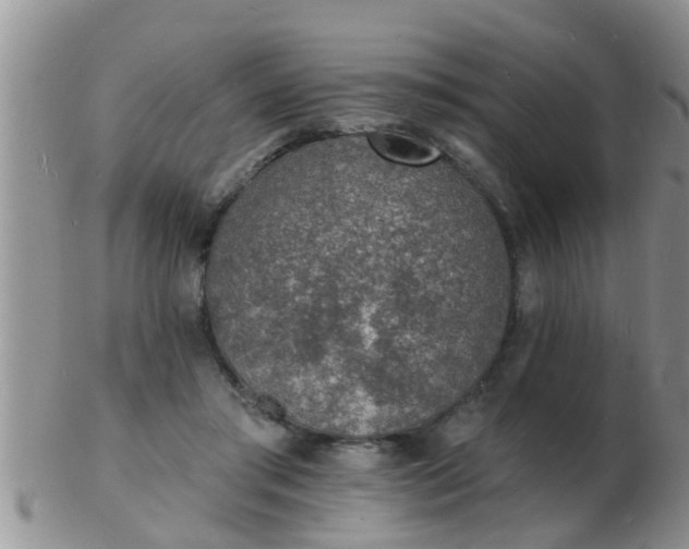 X0000103300405200809122034