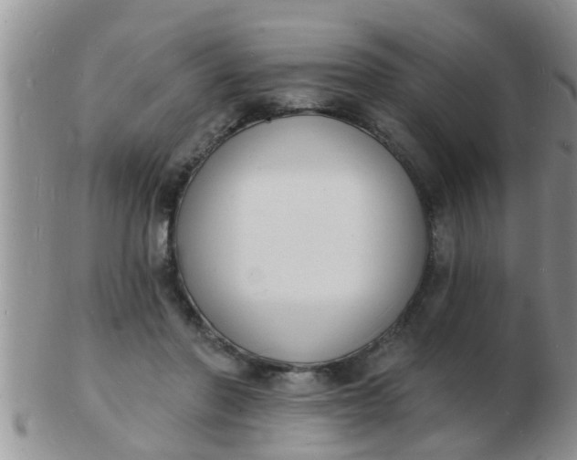 X0000103300406200809122034