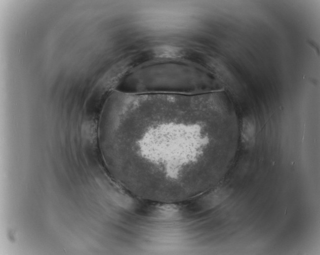 X0000103300409200809122034