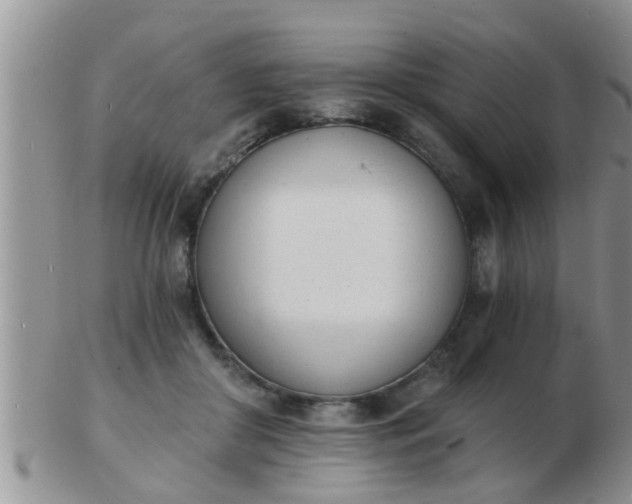 X0000103300410200809122034