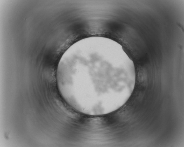 X0000103300411200809122034