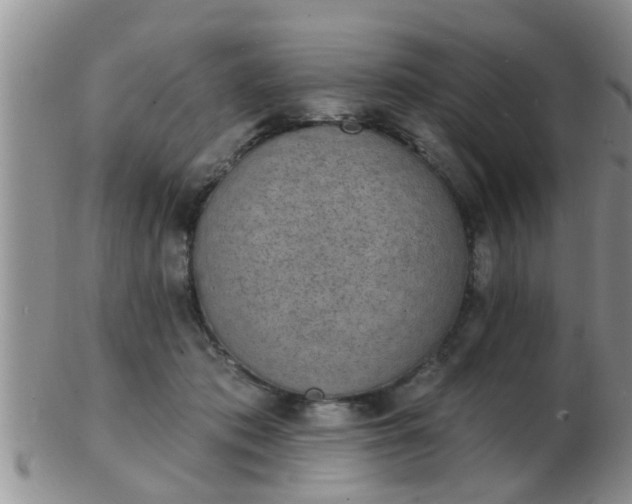 X0000103300413200809122034