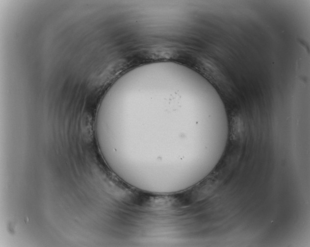 X0000103300414200809122034