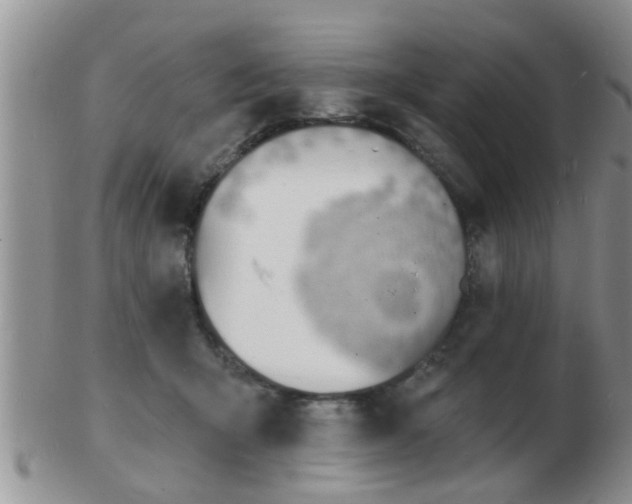 X0000103300415200809122034