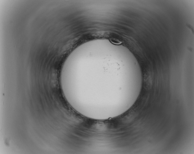 X0000103300416200809122034