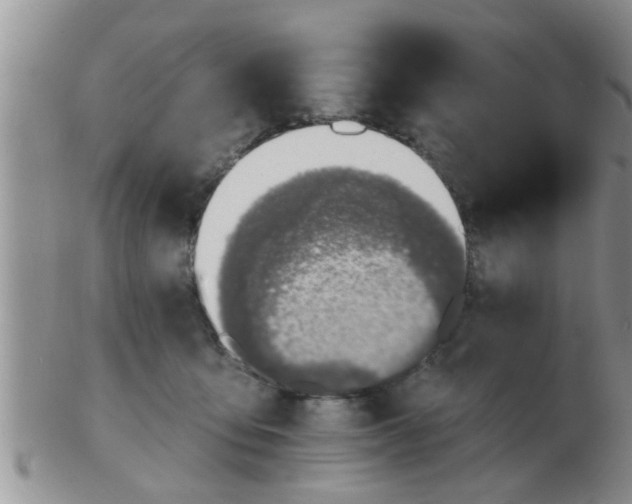 X0000103300419200809122034