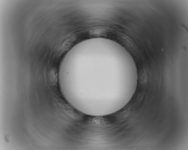 X0000103300420200809122034