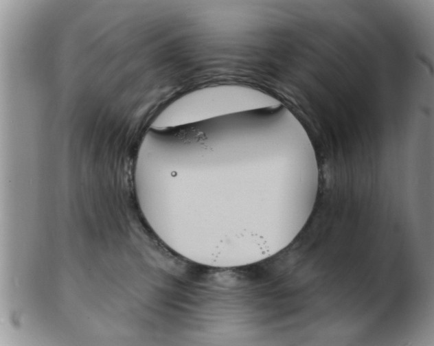 X0000103300423200809122034