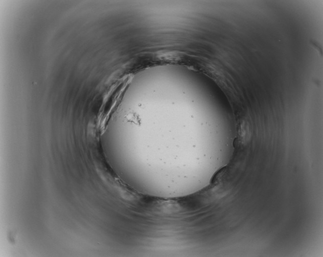 X0000103300424200809122034