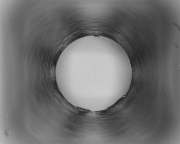 X0000103300425200809122034