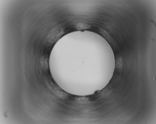 X0000103300426200809122034