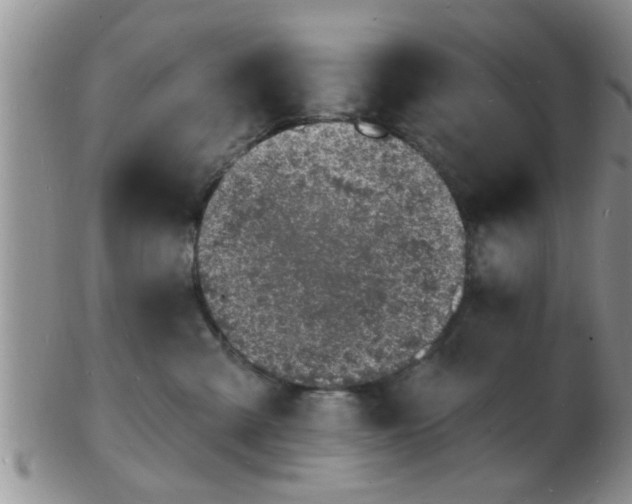 X0000103300427200809122034