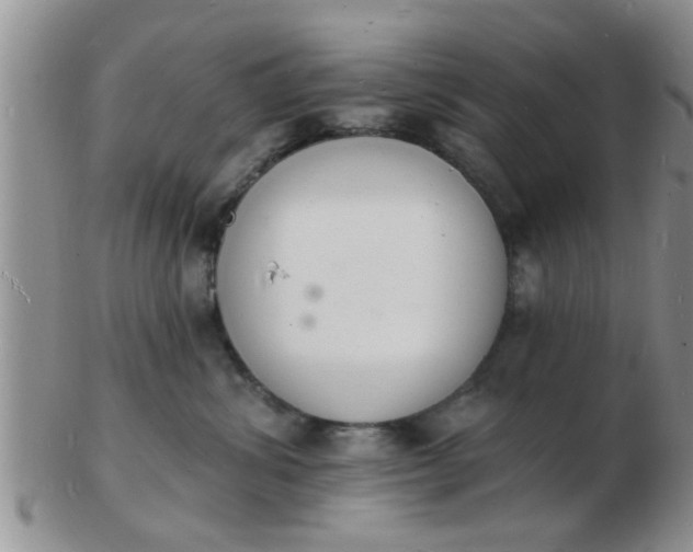 X0000103300428200809122034