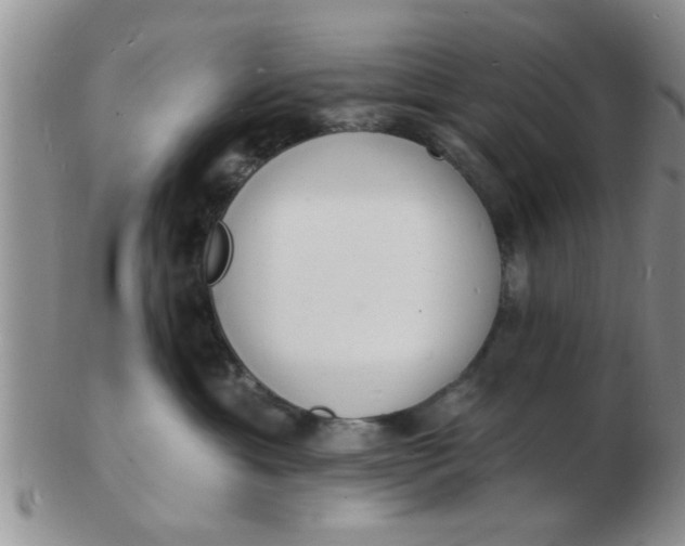 X0000103300429200809122034