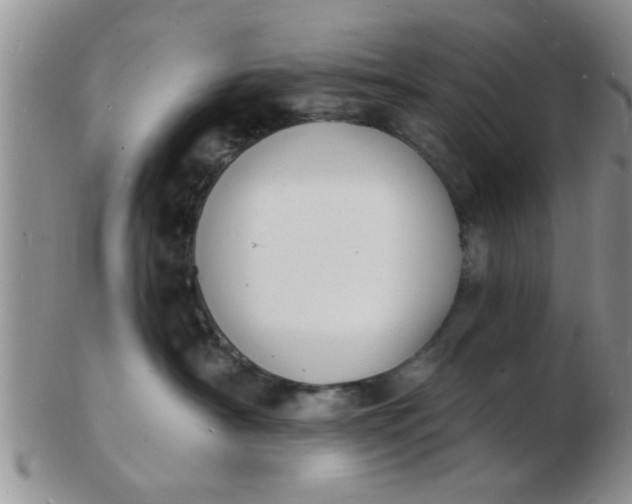 X0000103300430200809122034