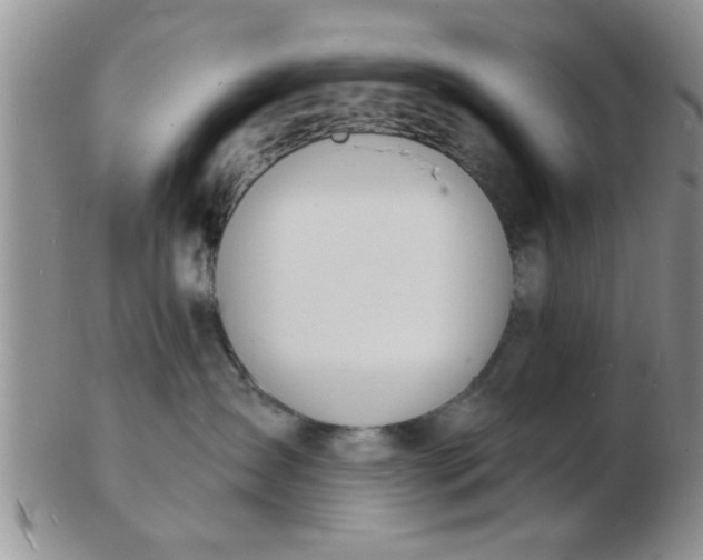 X0000103300431200809122034