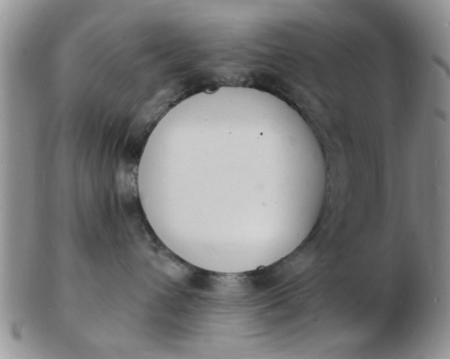 X0000103300432200809122034