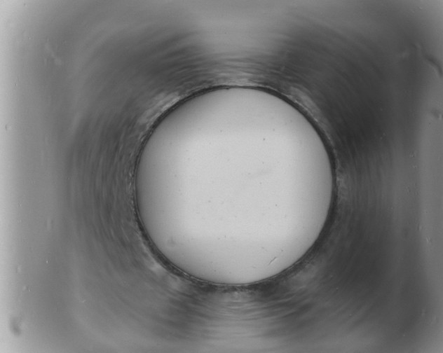 X0000103300433200809122033