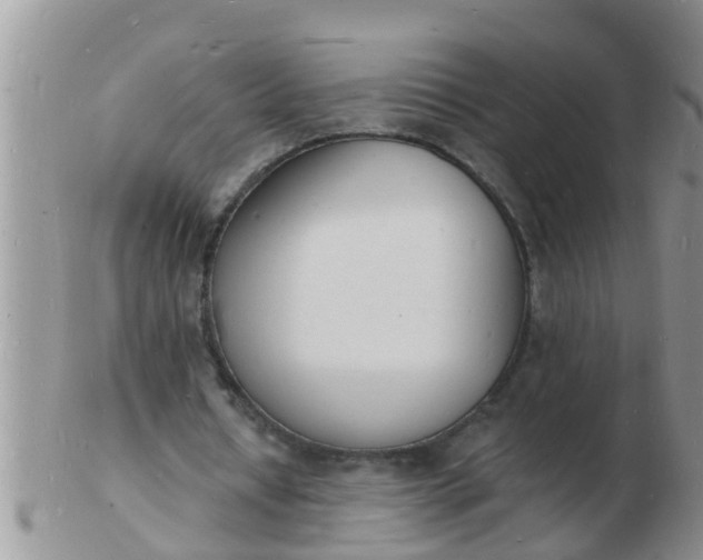 X0000103300434200809122033