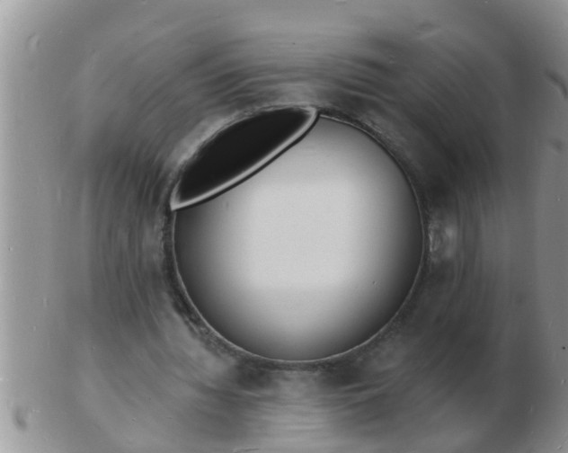 X0000103300436200809122033