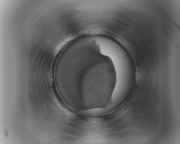 X0000103300438200809122033