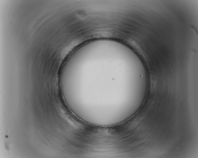 X0000103300439200809122033