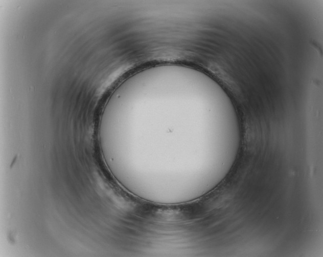 X0000103300440200809122033