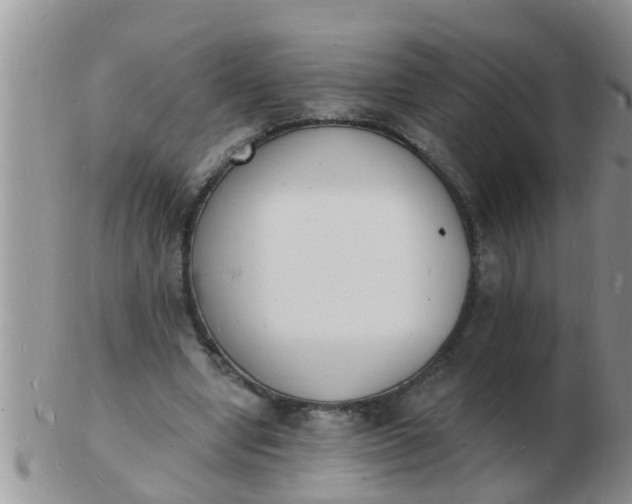 X0000103300442200809122033