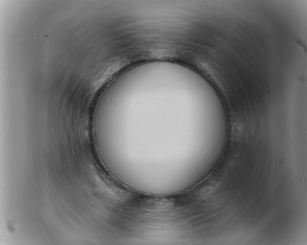 X0000103300443200809122033