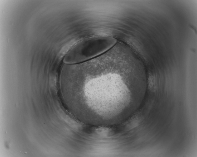 X0000103300444200809122033