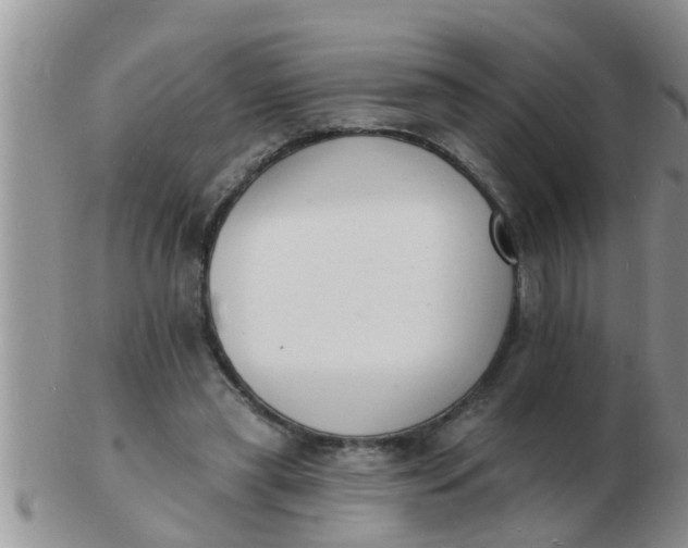 X0000103300445200809122033