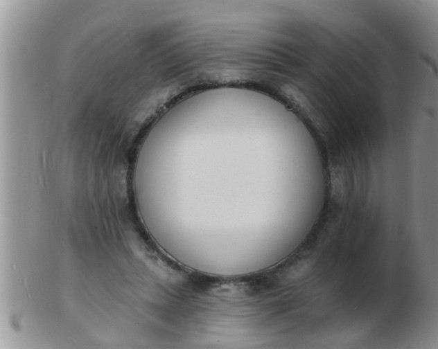 X0000103300447200809122033