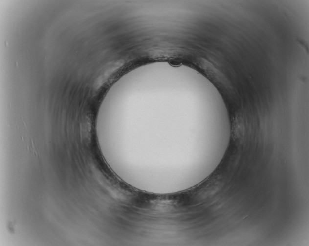 X0000103300448200809122033