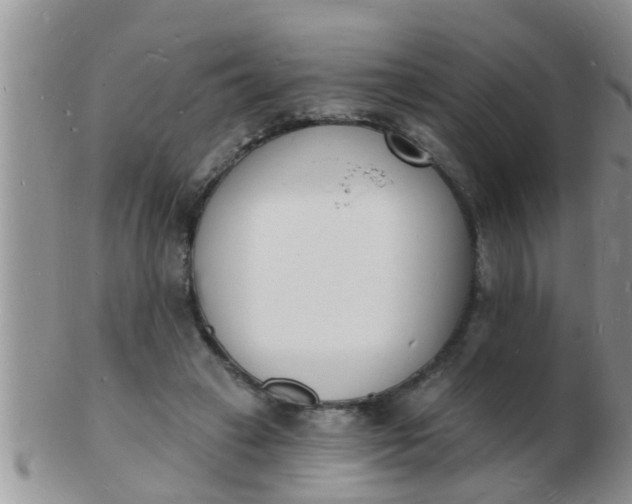 X0000103300449200809122033