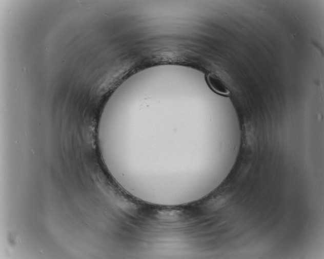 X0000103300450200809122033