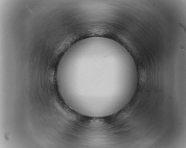 X0000103300451200809122033