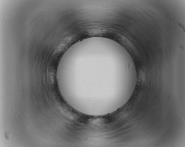 X0000103300452200809122033