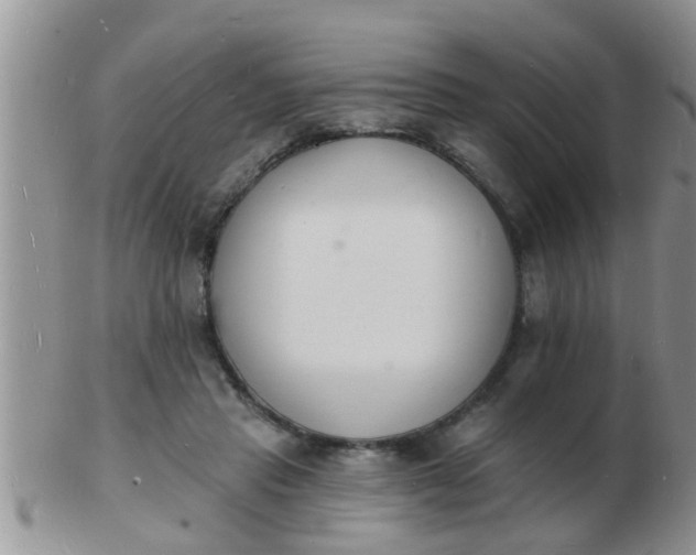 X0000103300453200809122033