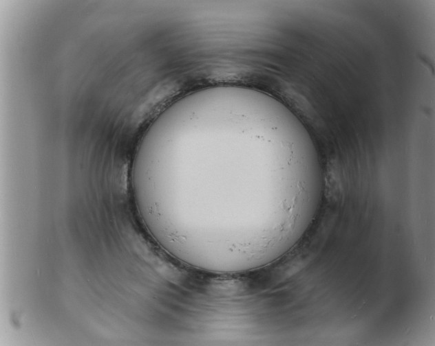 X0000103300454200809122033