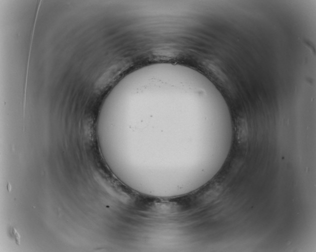 X0000103300455200809122033