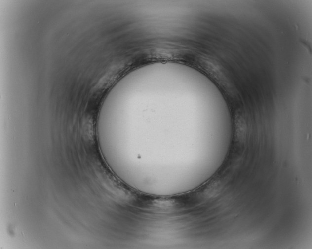 X0000103300457200809122033