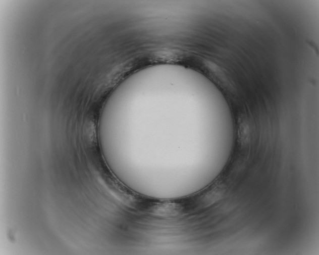 X0000103300459200809122033