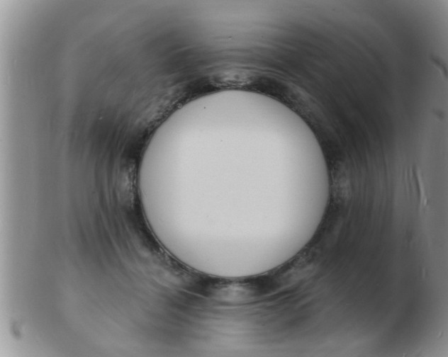 X0000103300460200809122033