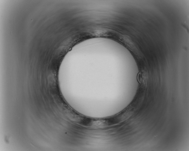 X0000103300461200809122033