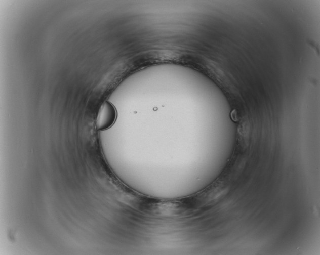 X0000103300462200809122033