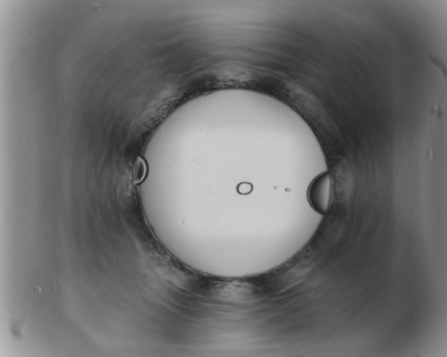 X0000103300463200809122033