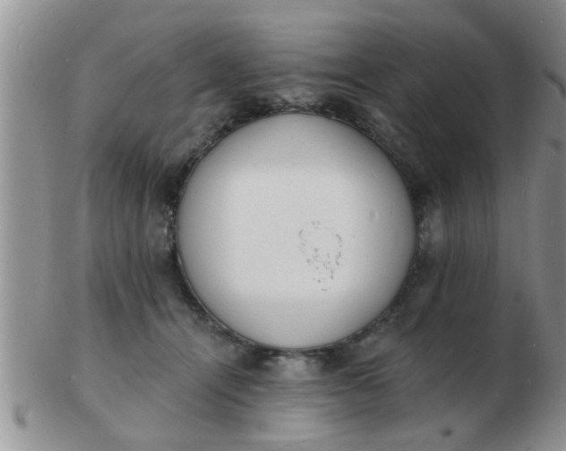 X0000103300464200809122033