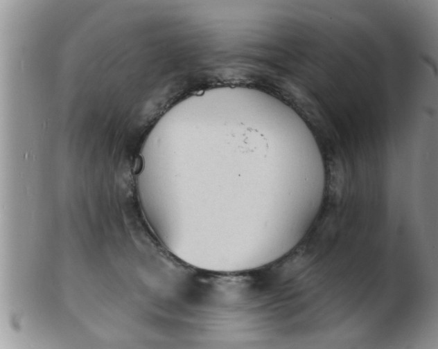 X0000103300465200809122033